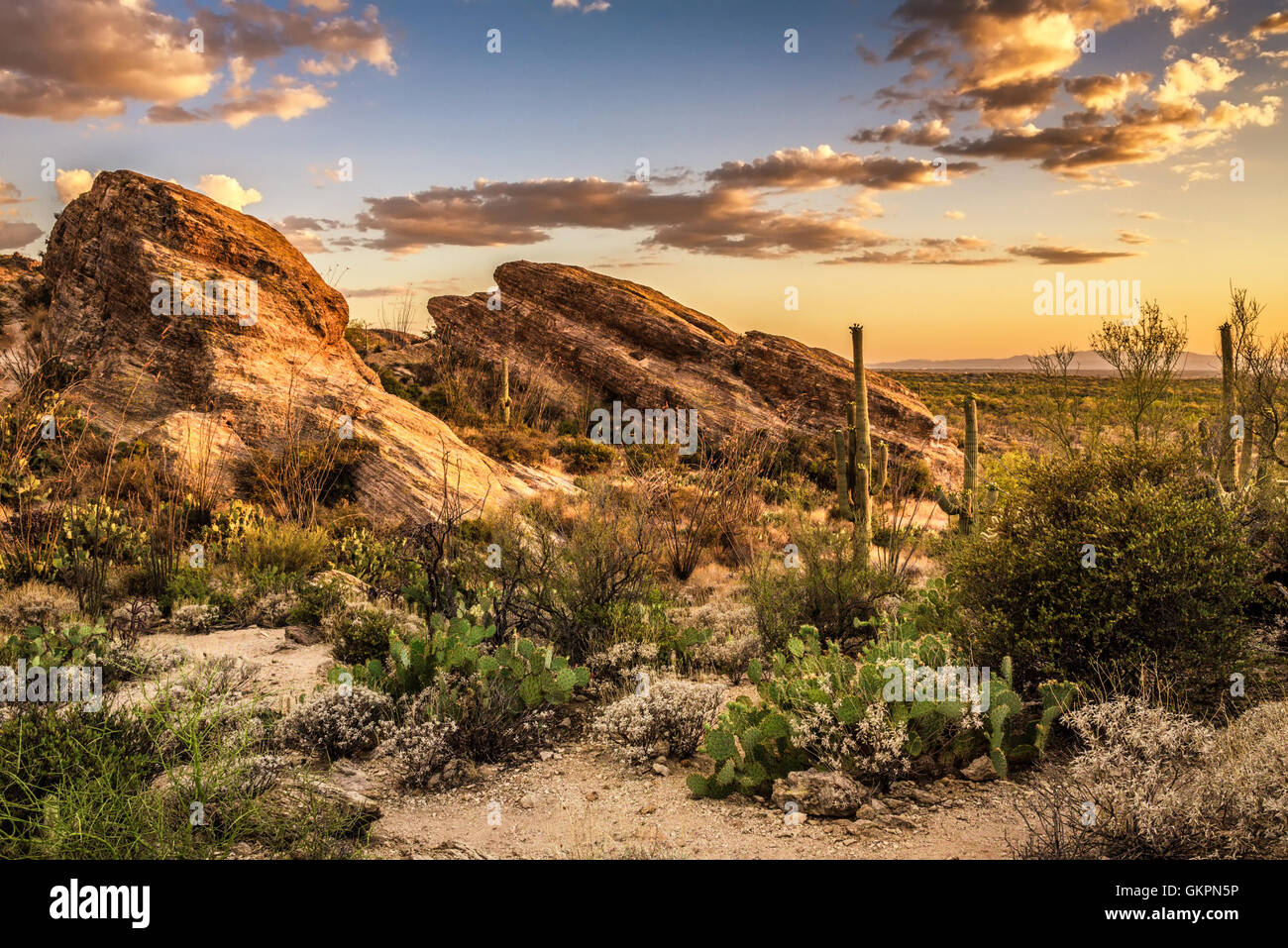 Coucher de soleil sur les roches de Javelina Saguaro National Park est près de Tucson, Arizon Banque D'Images