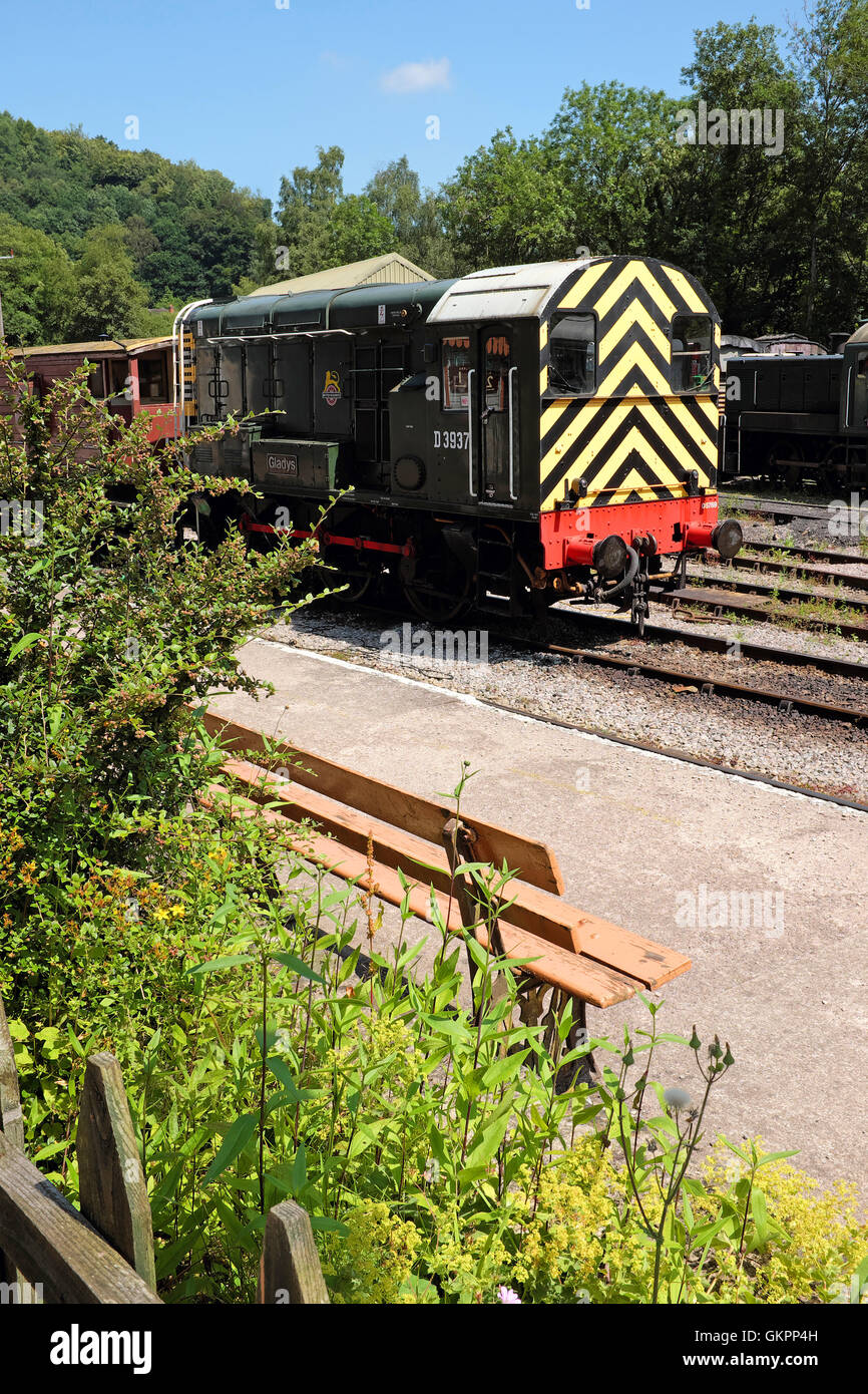 L'UNITÉ DE DIESEL SUR LES CHEMINS DE LA FORÊT DE DEAN dans le Gloucestershire. L'Angleterre. UK Banque D'Images