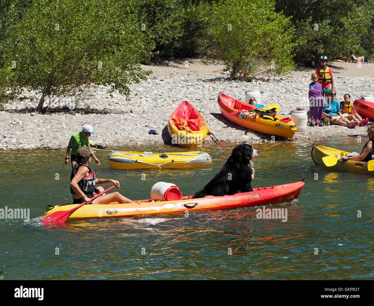 Même les chiens aller sur un voyage en canot en France, c'est le fleuve Hérault dans la région des Cévennes. Banque D'Images
