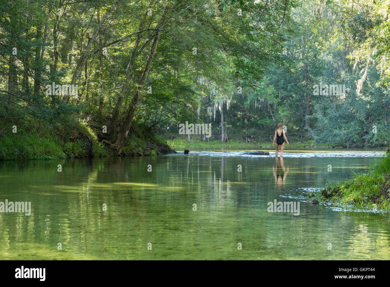 Femme mature pataugeant dans l'eau où les ressorts Poe exécutez répond à la Santa Fe river, Gilchrist Comté (Floride) Banque D'Images