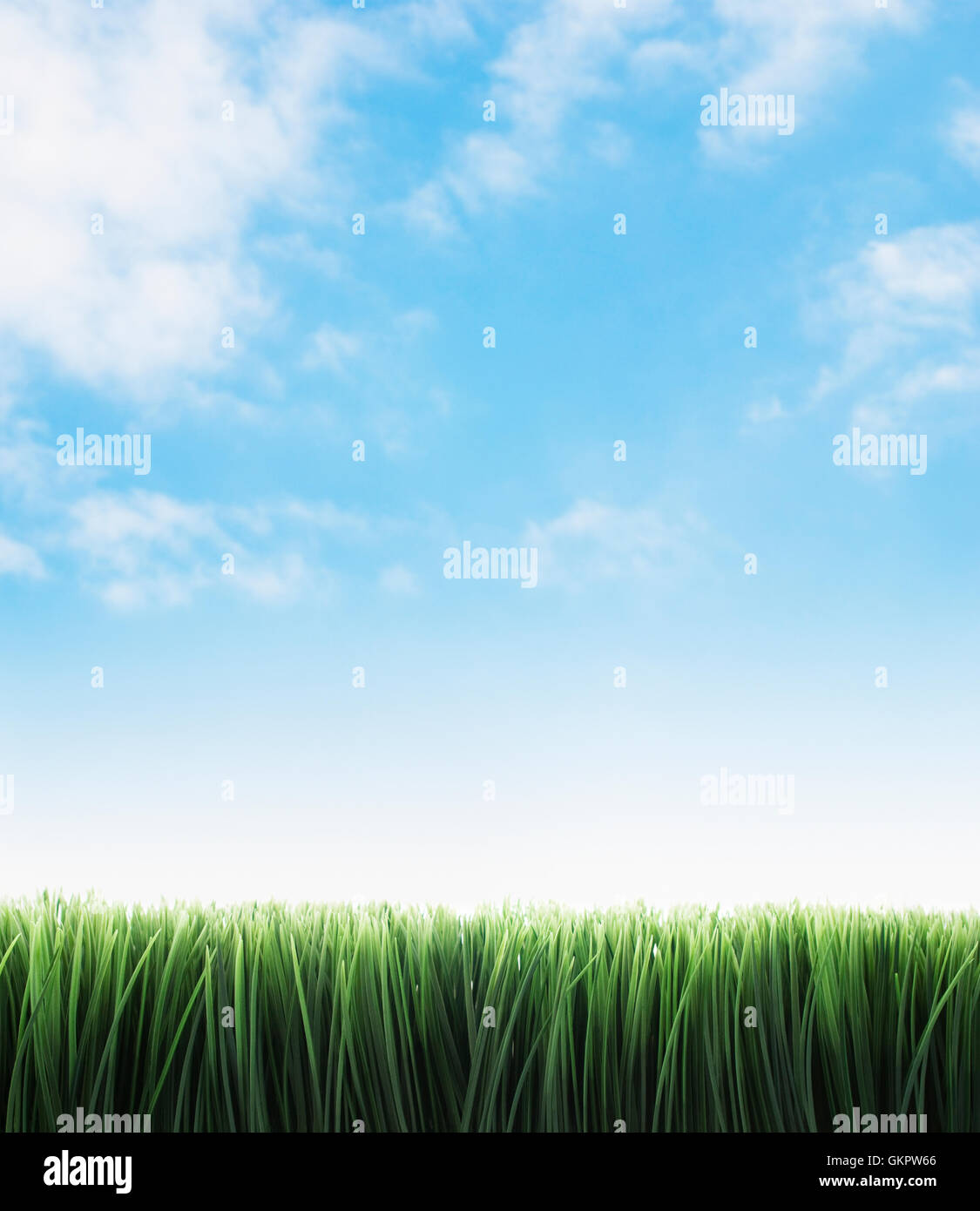 Couverture verte sur un ciel bleu. Banque D'Images