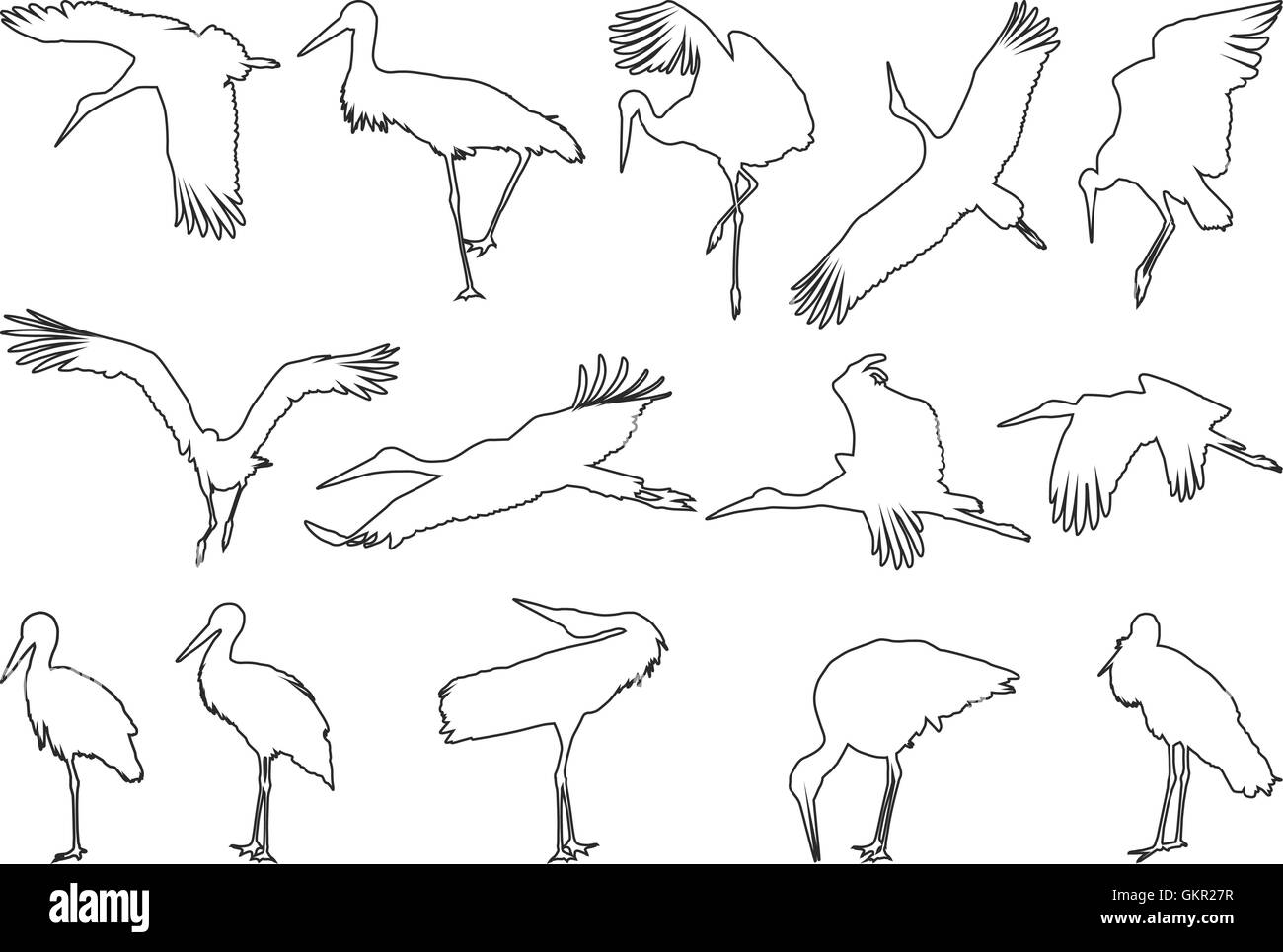 Les contours de cigognes Illustration de Vecteur