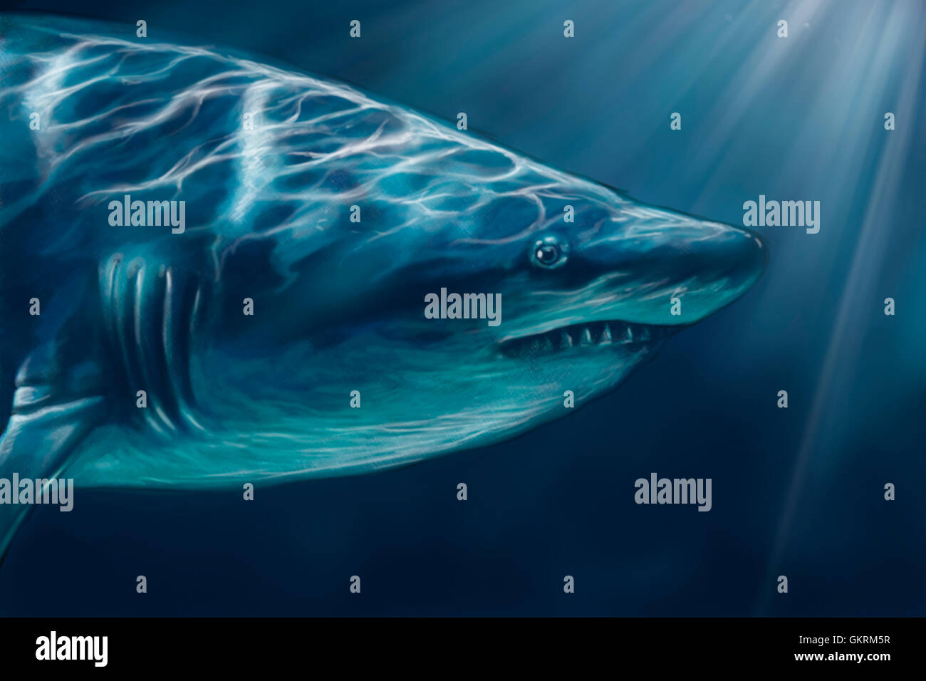 Un requin blanc natation sous-marine, le long de l'illustration numérique ta Banque D'Images