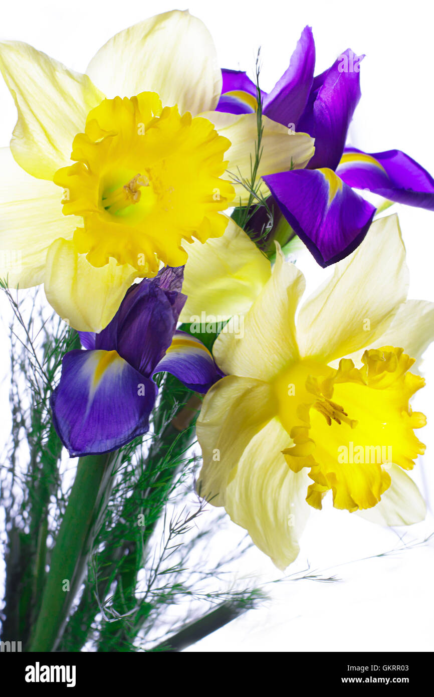 Bouquet de narcisse et de l'iris Photo Stock - Alamy