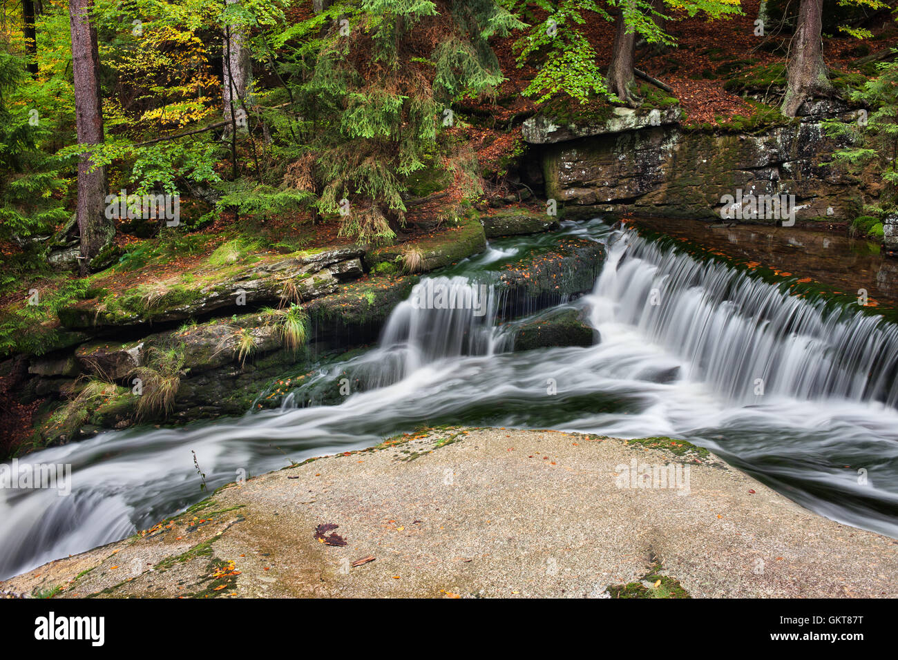 Flux avec cascade d'eau dans un paysage pittoresque de la forêt d'automne Banque D'Images