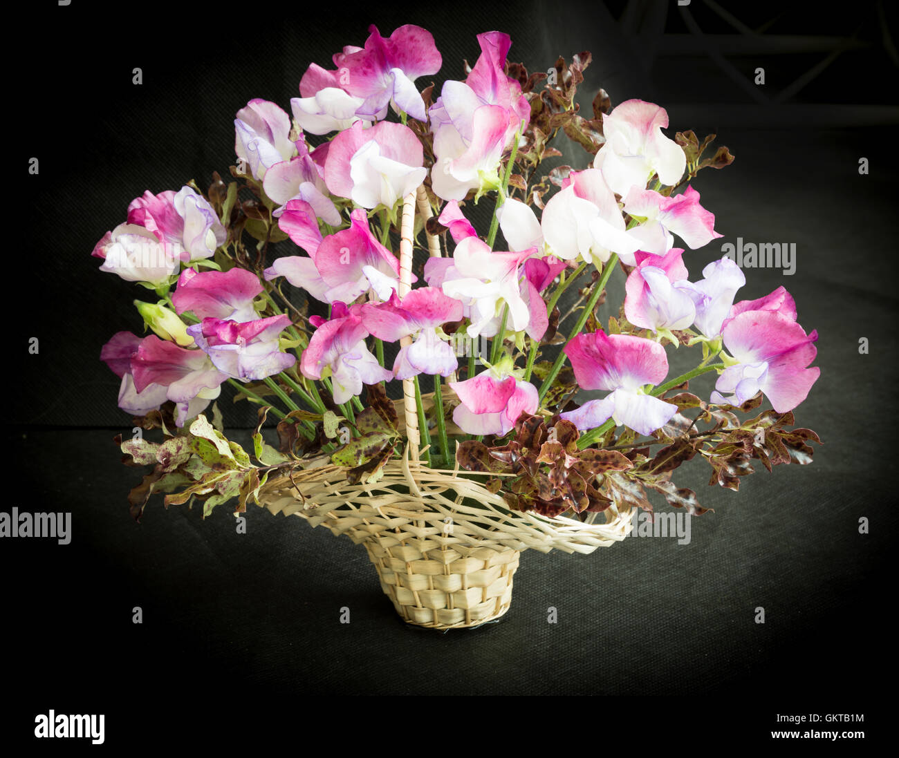 Arrangement de fleurs de pois sucré Banque D'Images