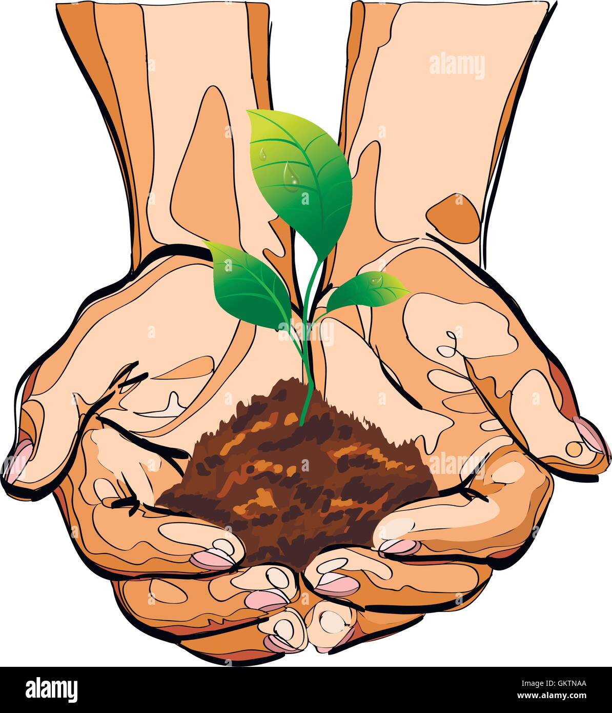 Petit arbre naturel sur l'icône en forme de main Illustration de Vecteur