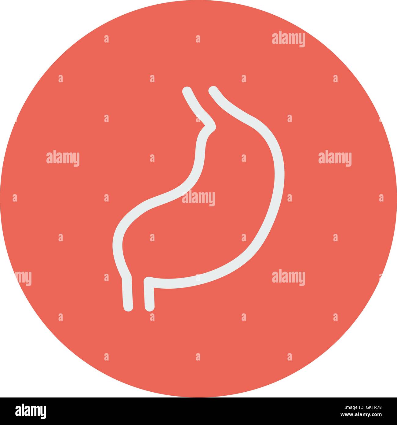 L'icône de la ligne mince estomac Illustration de Vecteur