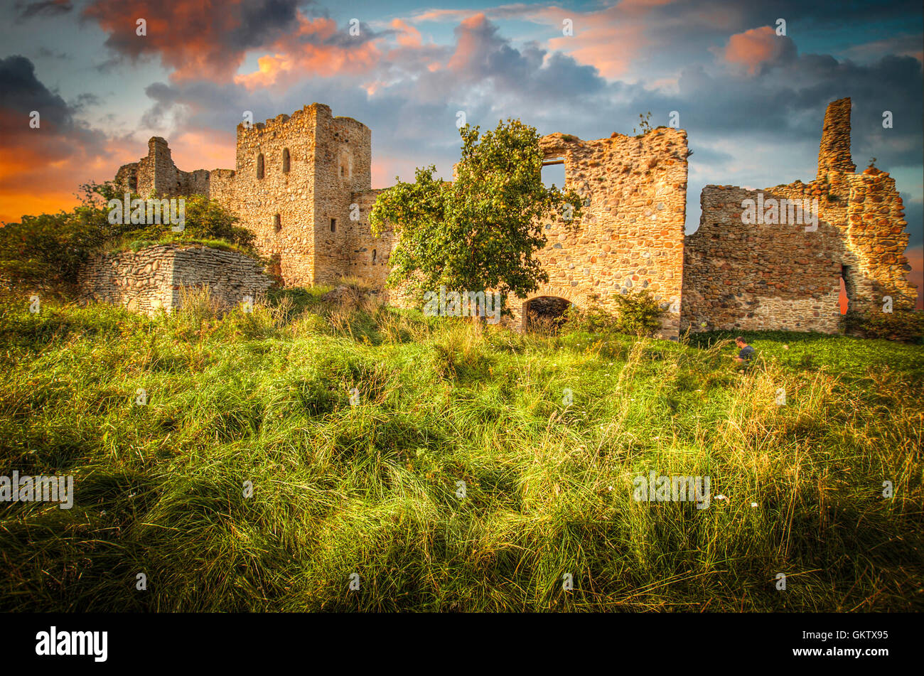 L'Estonie. Toolse. Ruines d'un château . Plus tôt Tolsburg ou Vredeborch Banque D'Images