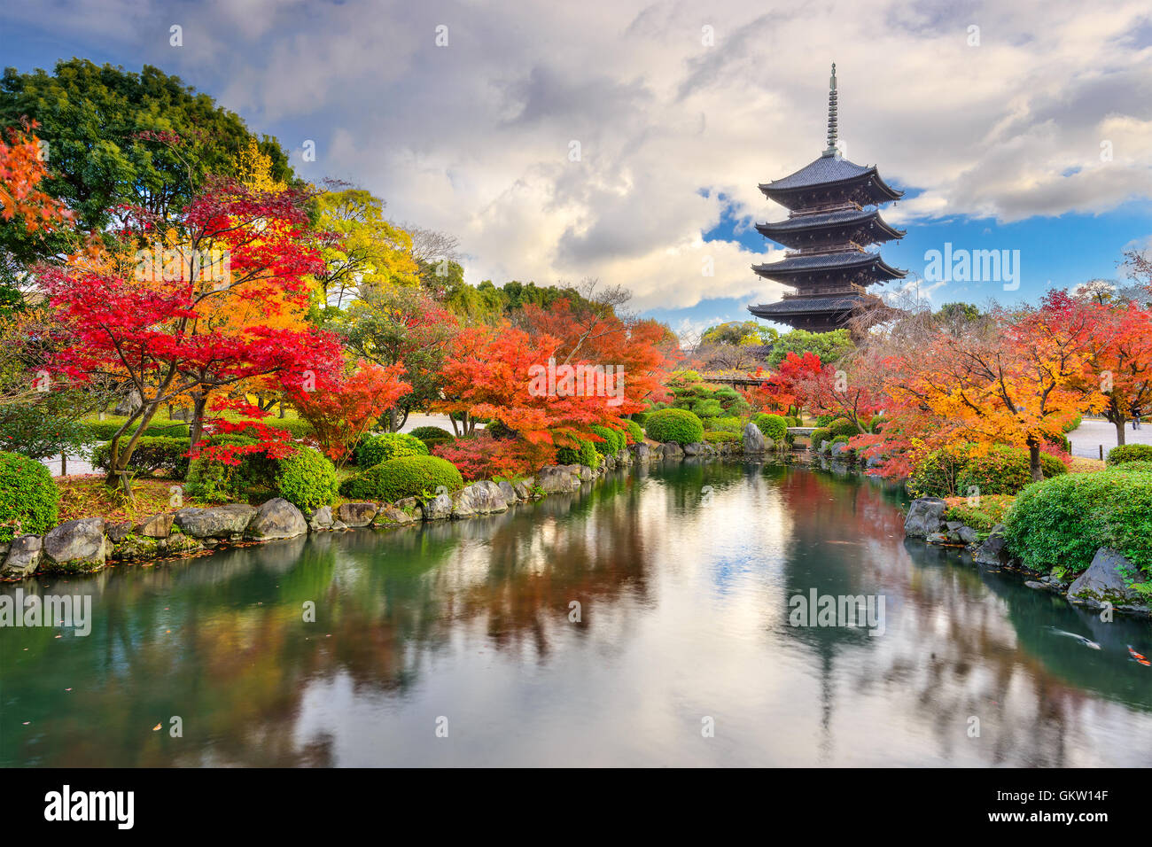 Kyoto, Japon à la Pagode Toji en automne. Banque D'Images