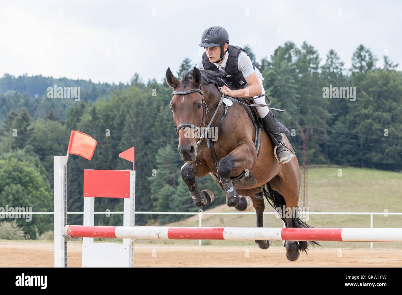 Jeune cavalier en veste pendant le saut sur un cheval brun Banque D'Images