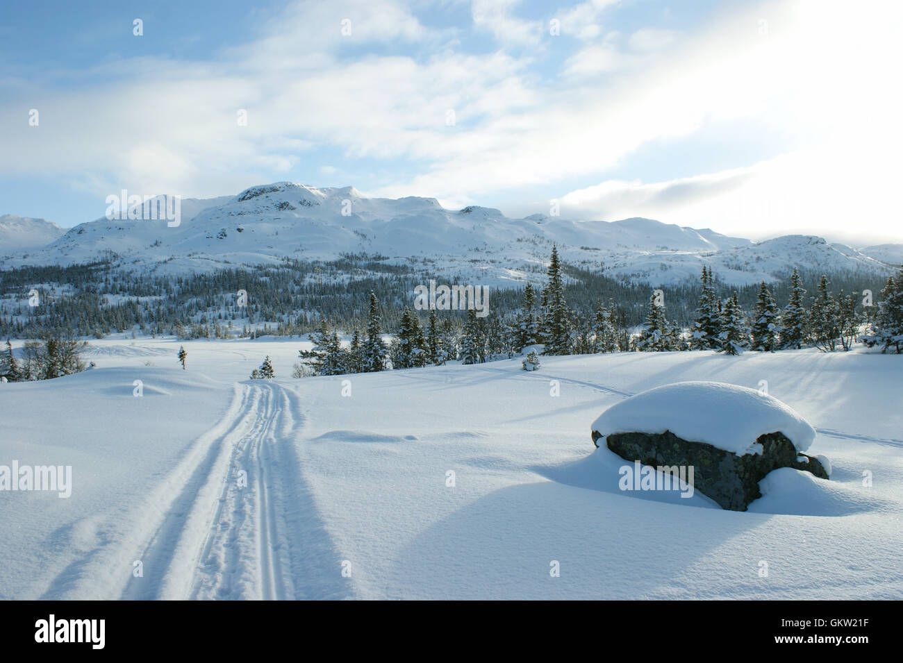 Les pistes de ski avec paysage norvégien Banque D'Images