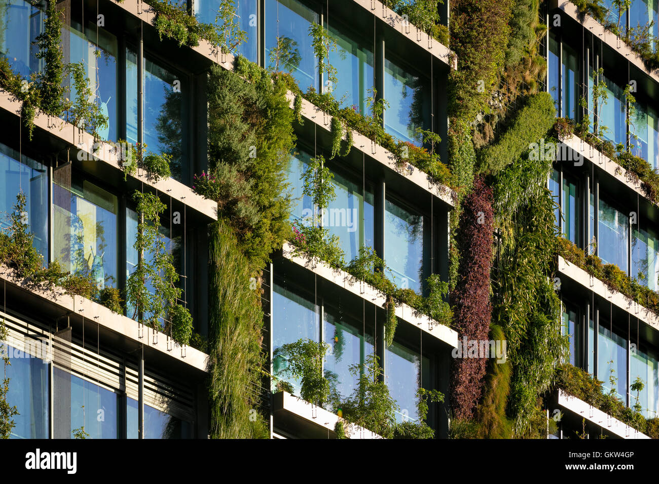 L'immeuble à un Central Park à Sydney avec son jardin vertical Banque D'Images