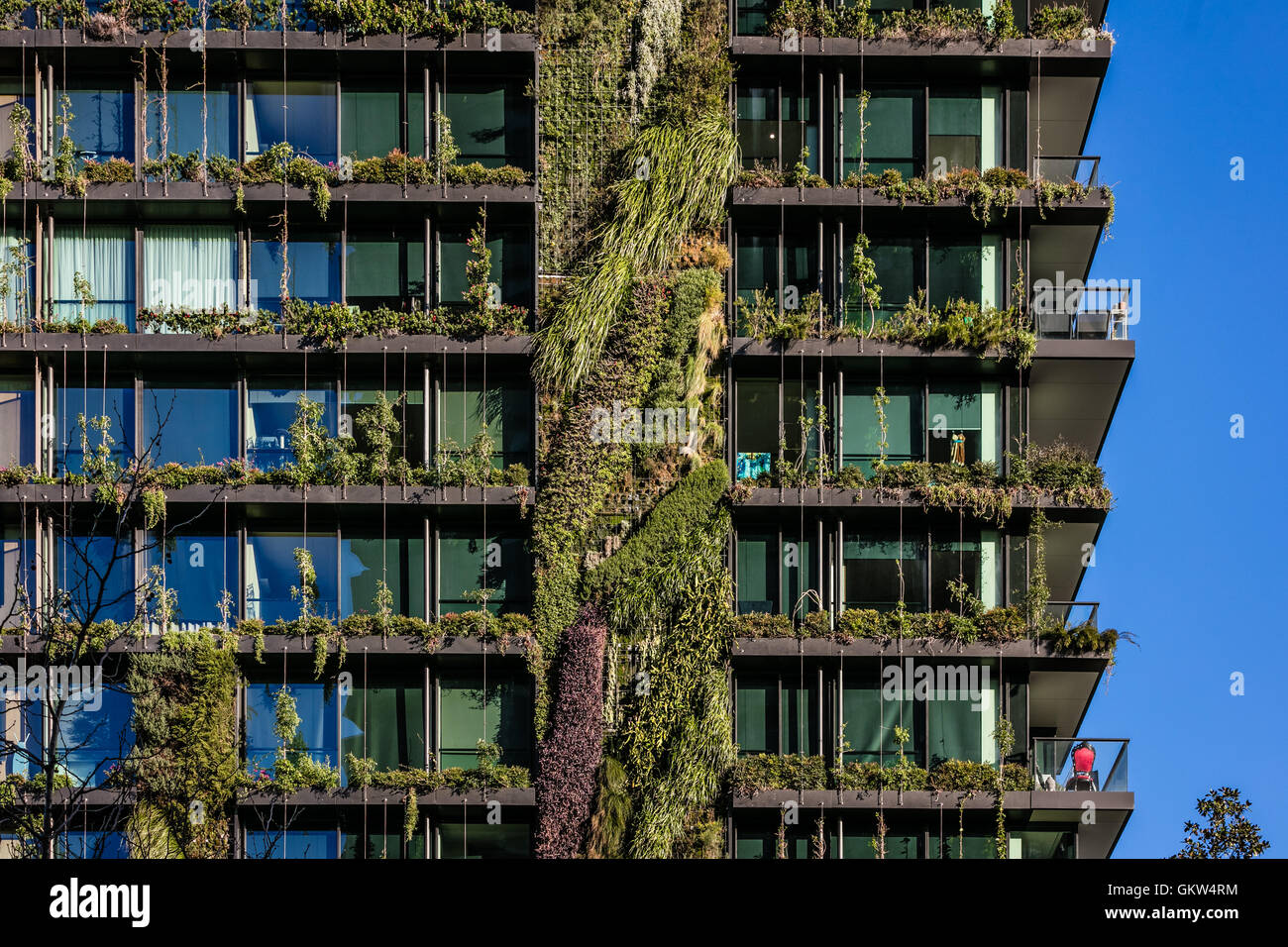 L'immeuble à un Central Park à Sydney avec son jardin vertical Banque D'Images