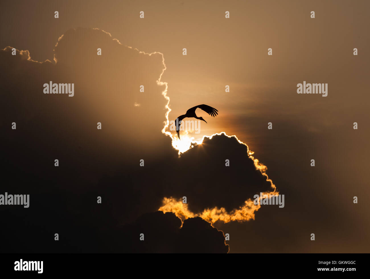 Ciel nuageux spectaculaires au coucher du soleil,Koonthankulam,Refuge d'oiseaux de l'Inde. Banque D'Images