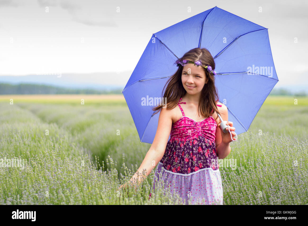 Un heureux, belle jeune fille qui marche à travers champs de lavande holding umbrella. Banque D'Images