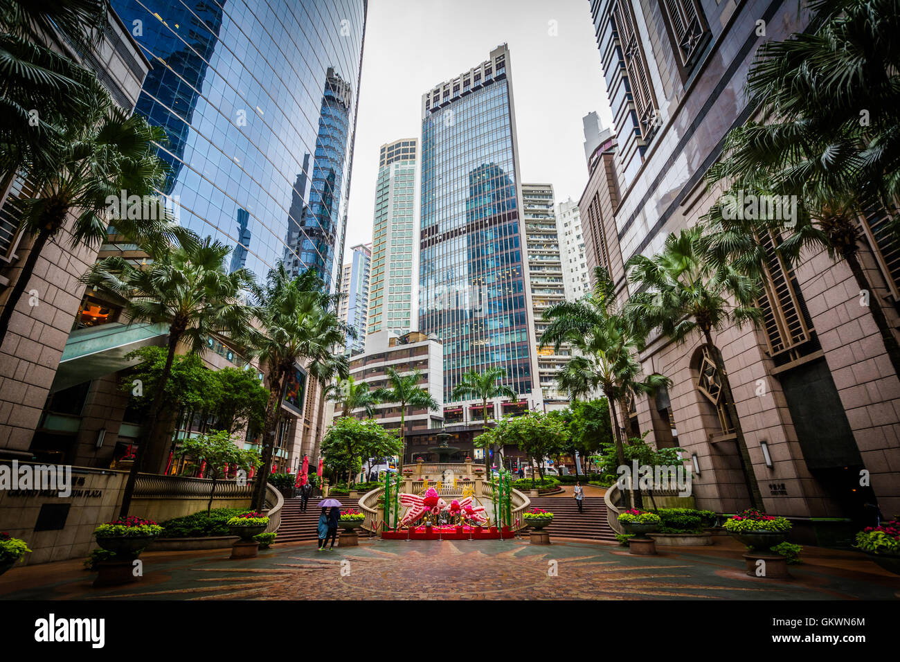 Les palmiers et les gratte-ciel modernes à Sheung Wan, à Hong Kong, Hong Kong. Banque D'Images