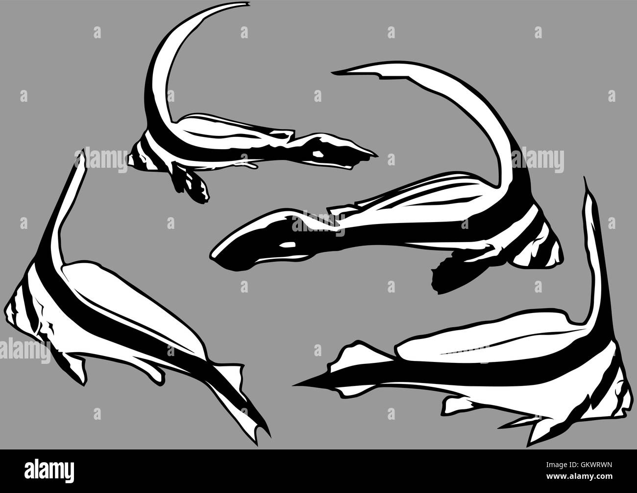 Les poissons juvéniles Jackknife Illustration de Vecteur
