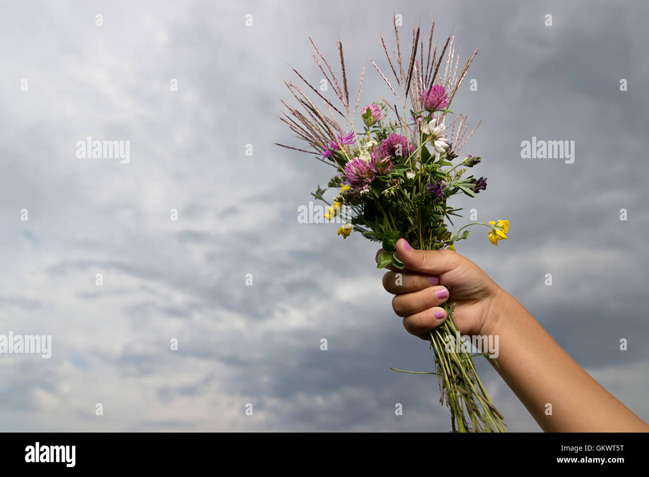 La Main De Lenfant Est Titulaire Dun Bouquet De Fleurs Sur