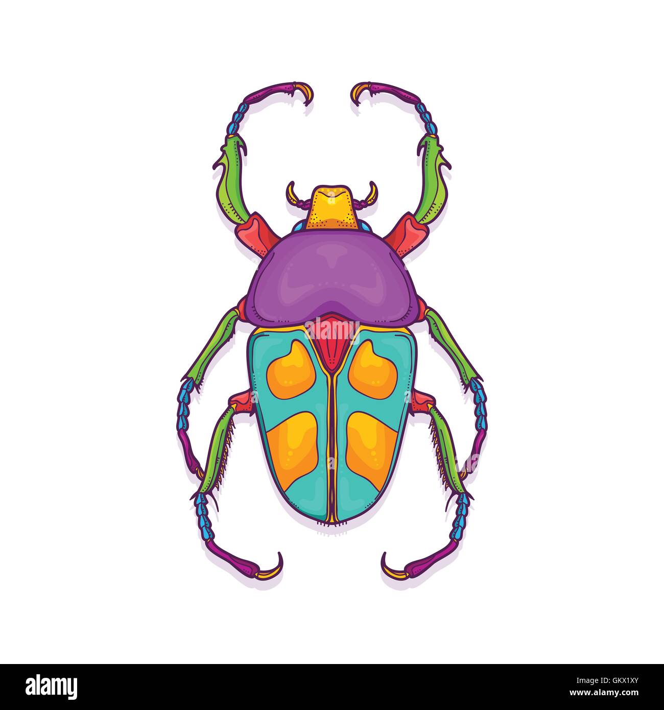 Vector Illustration of Colorful Bugs insectes coléoptères, Jumnos ruckeri dessiné à la main Illustration de Vecteur