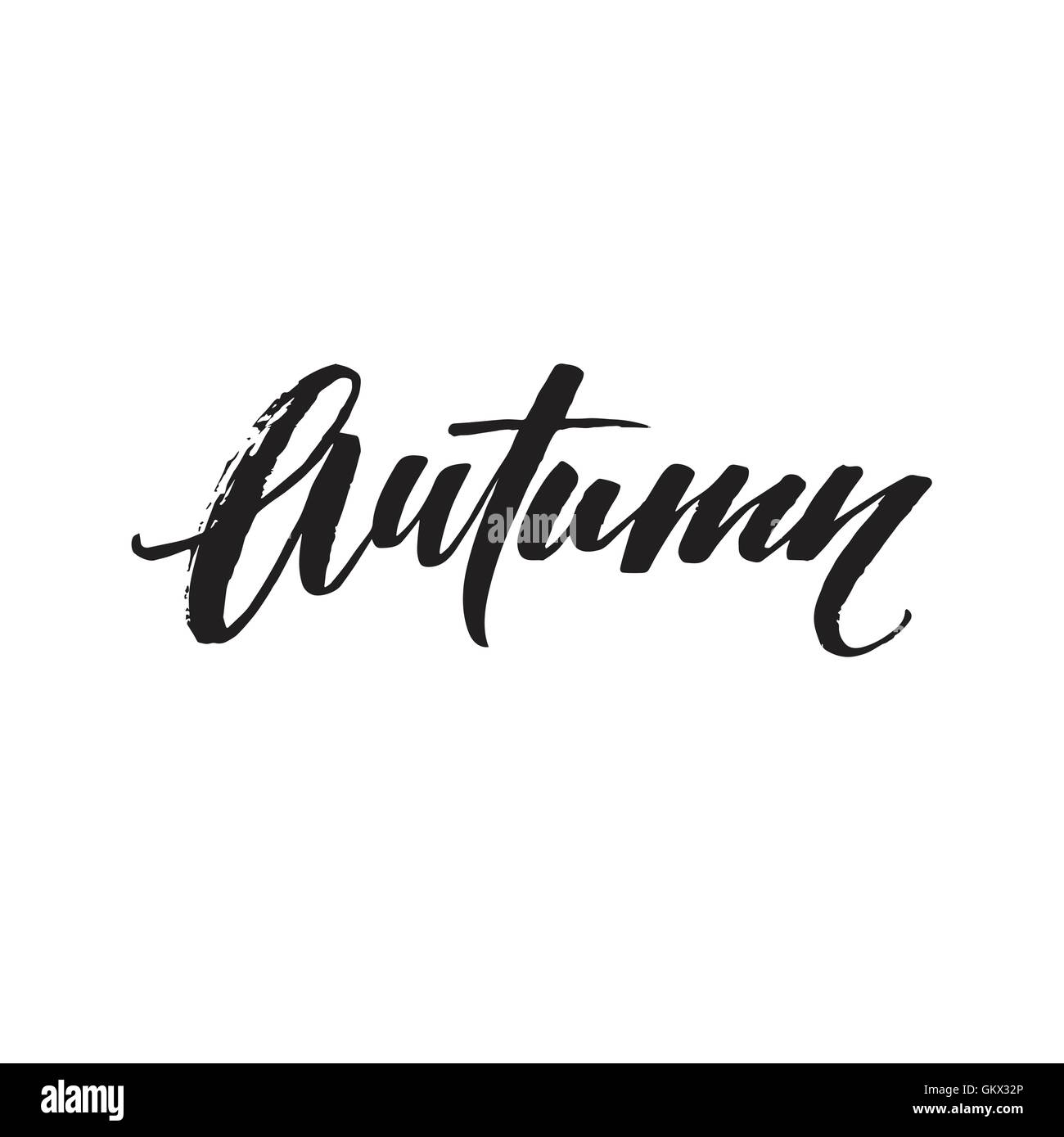 Carte d'automne calligraphier moderne. Design lettrage dessiné à la main. Illustration d'encre. L'affiche de l'automne. Vector illustration Illustration de Vecteur