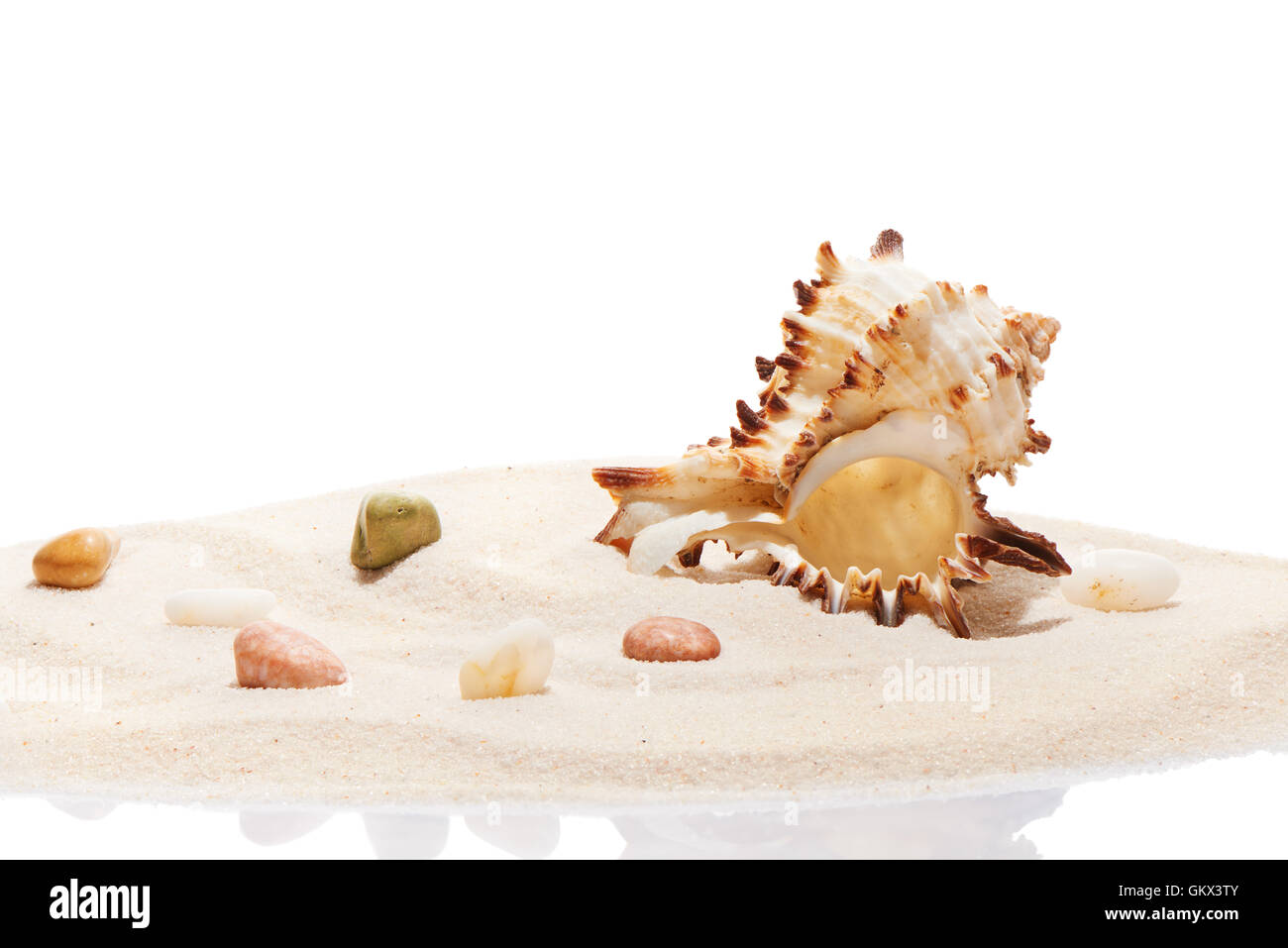 Pierres et mer Seashell on pile de sable de plage, isolé sur fond blanc Banque D'Images