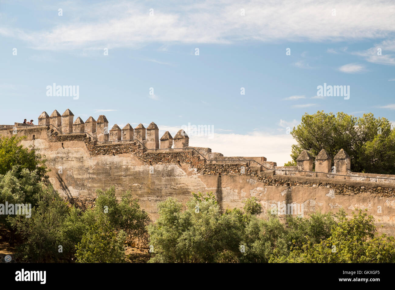 L'Alcazaba de Malaga, Andalousie Espagne Banque D'Images