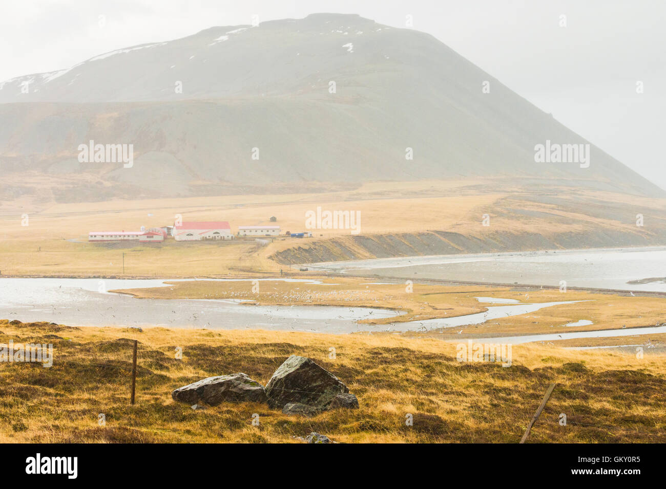 Paysage avec Eiði kolgrafafjörður, ferme, et la montagne vu de Kolgrafavegur sur péninsule de Snæfellsnes dans l'ouest de l'Islande. Banque D'Images