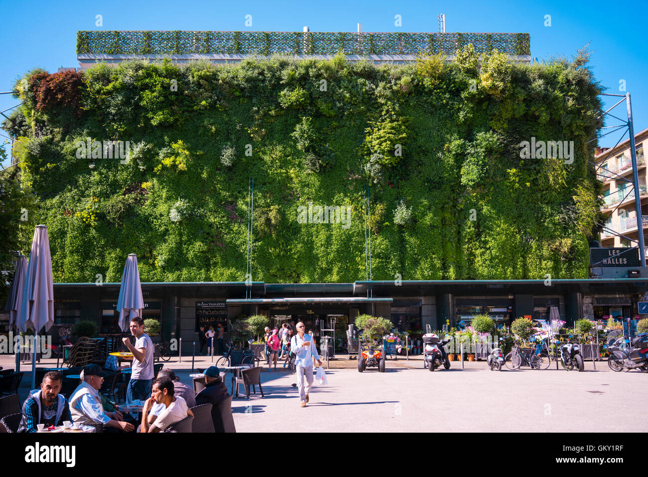 Marché Avignon avec mur végétal Banque D'Images