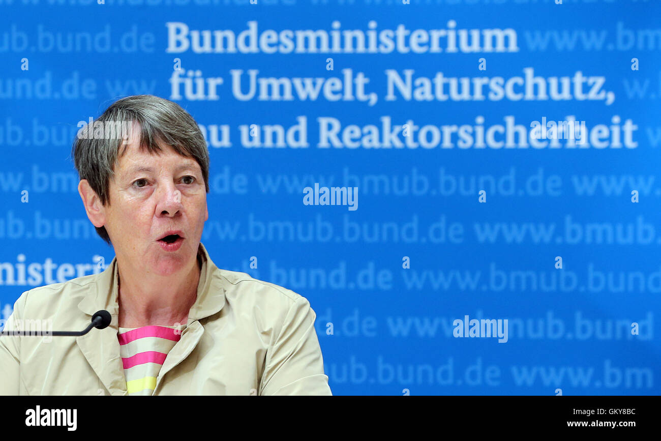Berlin, Allemagne. Août 24, 2016. Le ministre de l'environnement, Barbara Hendricks (SPD) informe les médias au sujet de la façon dont elle veut arrêter l'élevage industriel de masse par droit de la construction à Berlin, Allemagne, 24 août 2016. Photo : Wolfgang Kumm/dpa/Alamy Live News Banque D'Images