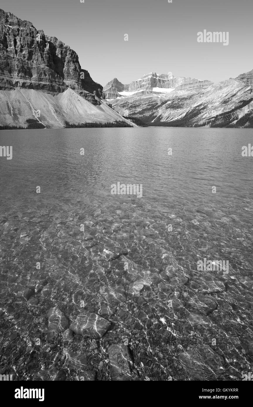 Paysage canadien avec le lac Bow. L'Alberta. Le Canada. La verticale Banque D'Images