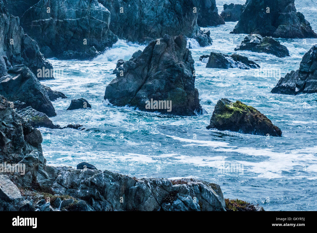 Bodega Bay,California le fracas des vagues et d'oiseaux de rivage Banque D'Images