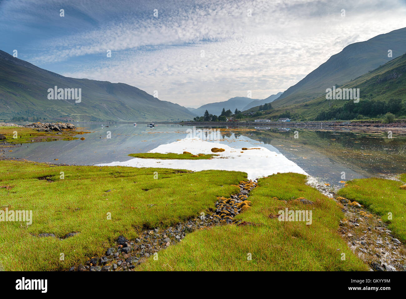 Tôt le matin à Loch Duich dans les montagnes sur la côte ouest de l'Écosse avec un tapis vert de salicornes au premier plan Banque D'Images
