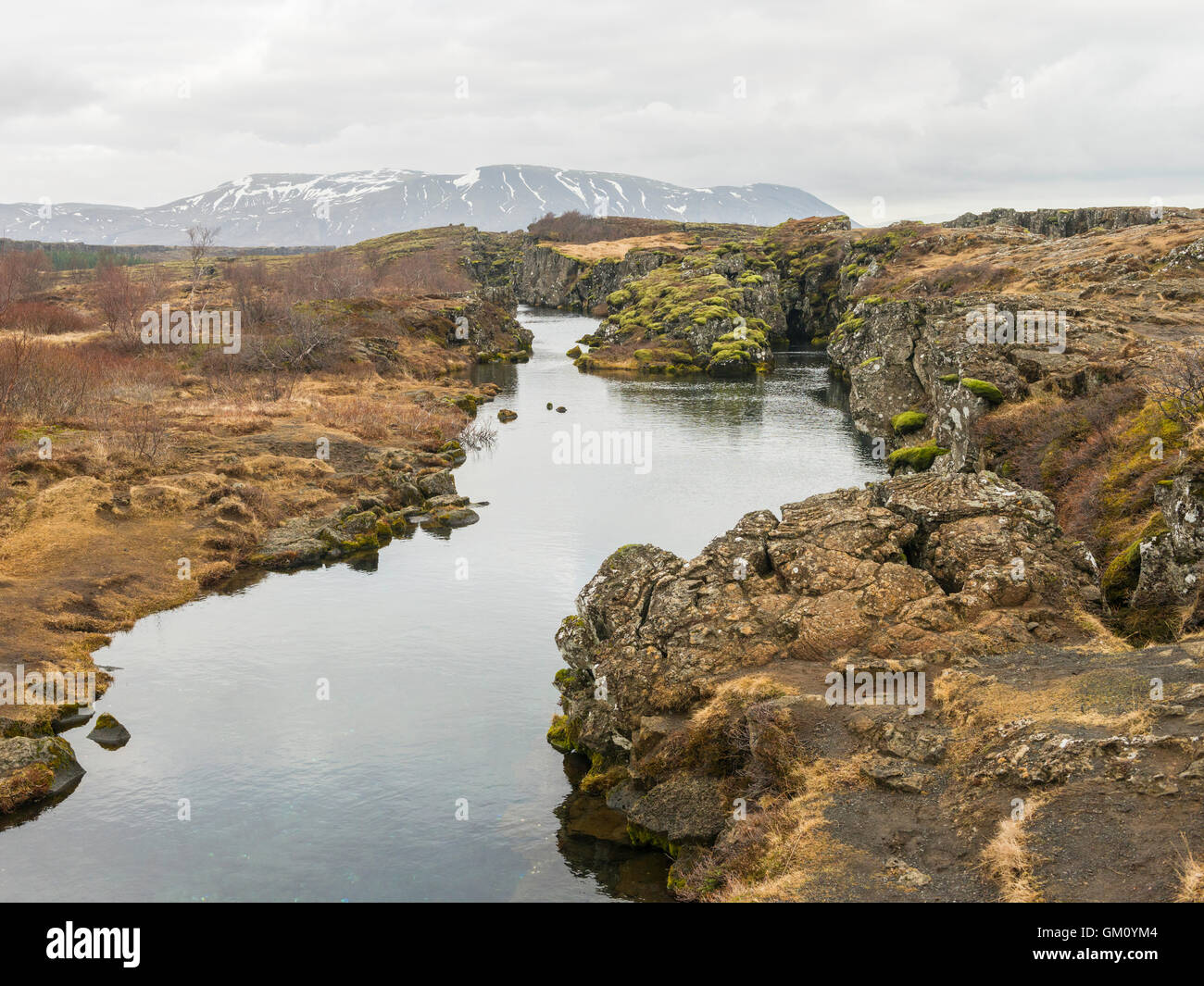 Flosagjá Canyon dans le parc national de Þingvellir Islande, est un crack ou défaut entre l'Amérique du Nord et d'Eurasion la plaque tectonique. Banque D'Images