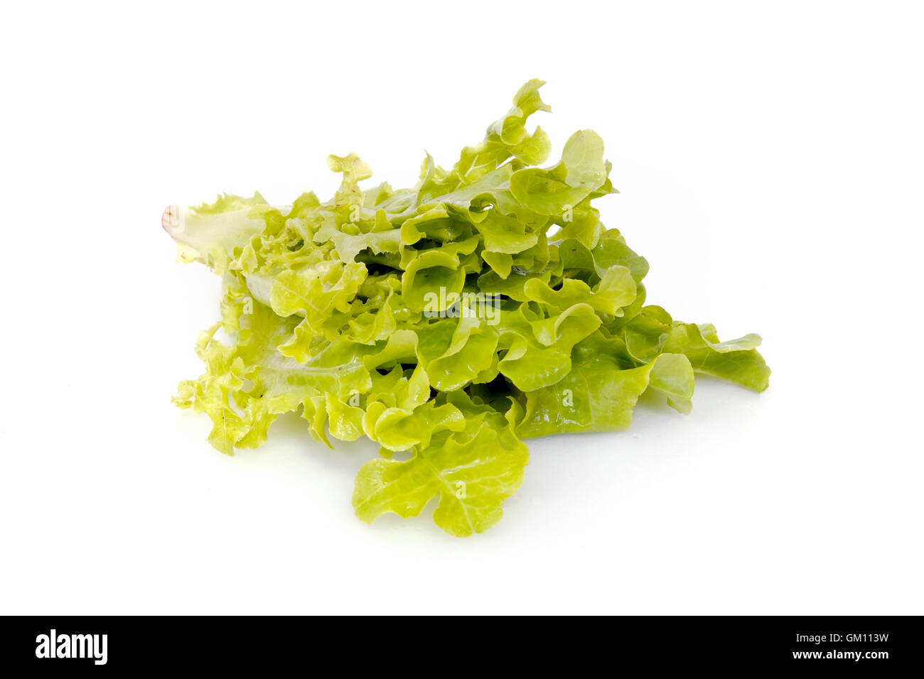 Feuilles de légumes salade verte (batavia) et chêne isolé sur fond blanc Banque D'Images
