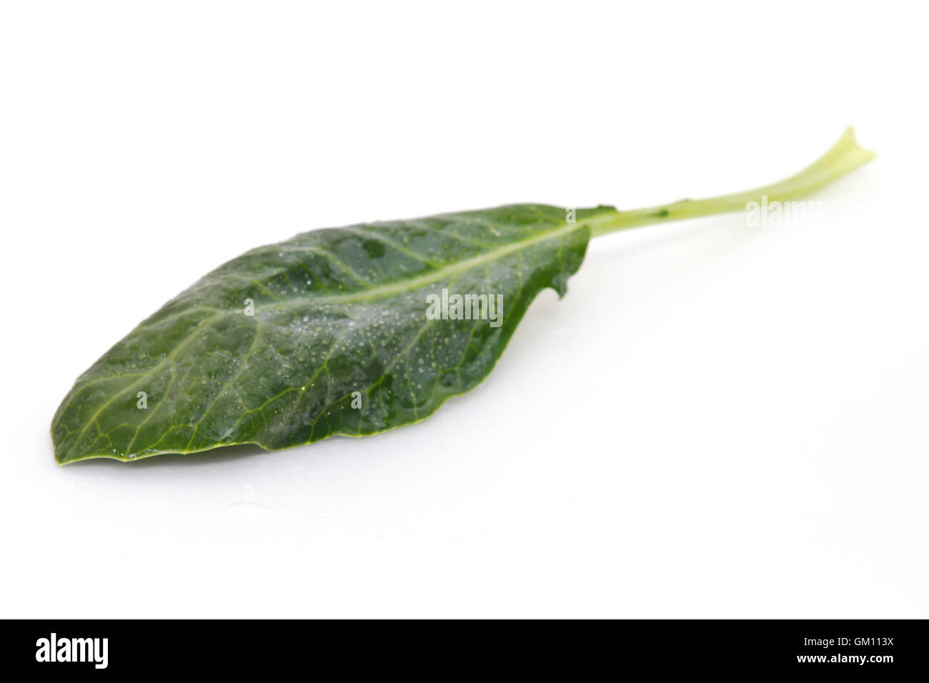 Légumes chou chinois (d'autres noms sont le brocoli chinois, chou frisé, Kai lan, lan, Gai, Phak Khana, Pak ,, kana, Brassica alboglabra Banque D'Images