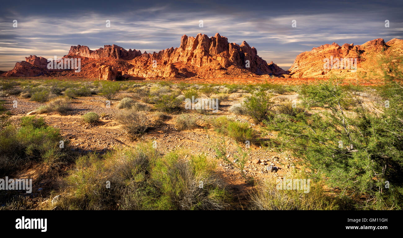 Le beau désert couleurs rouge et orange dans le parc national de la Vallée  de Feu, juste au nord de Las Vegas, Nevada Photo Stock - Alamy