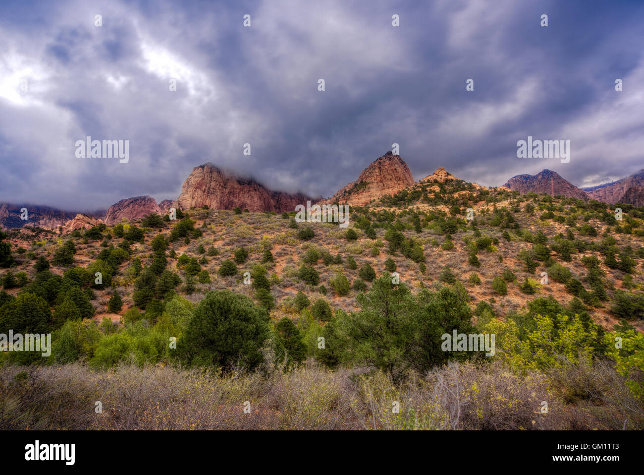 Un jour de pluie dans la gamme de montagne, Kolob Canyons situé dans la région de Zion National Park, près de l'harmonie, de l'Utah. Banque D'Images
