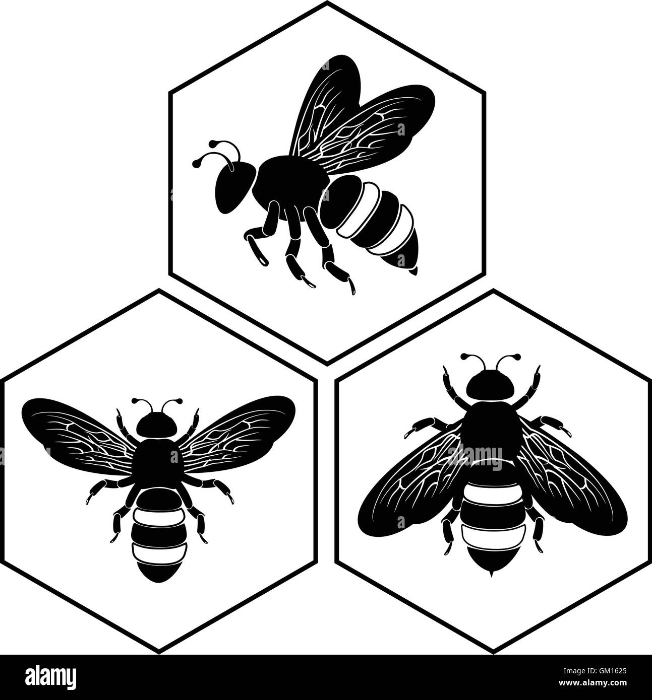 Sur le miel d'abeilles jeu de cellule Illustration de Vecteur