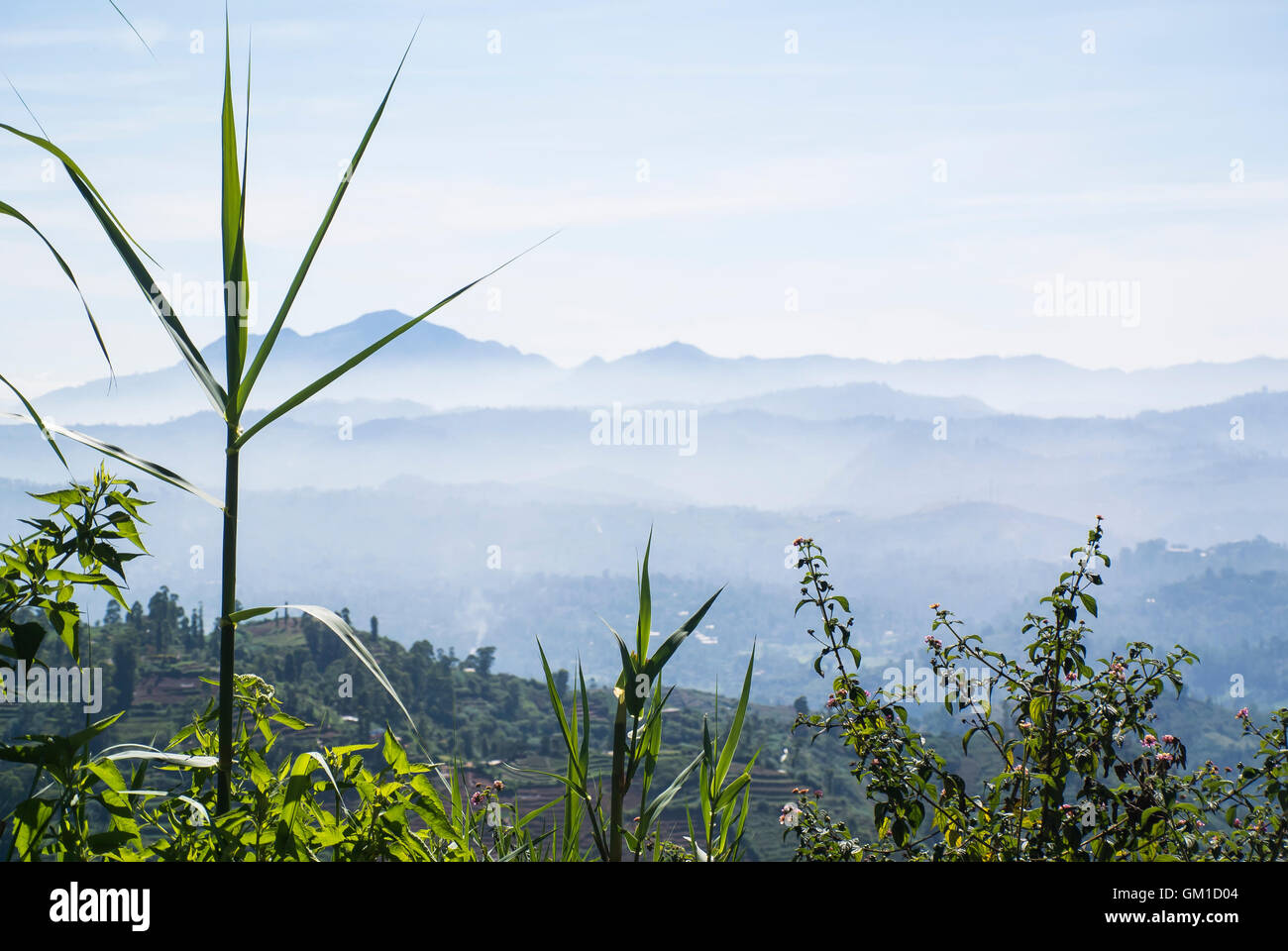 Vue paysage - Hill Country Sri-Lankais Banque D'Images