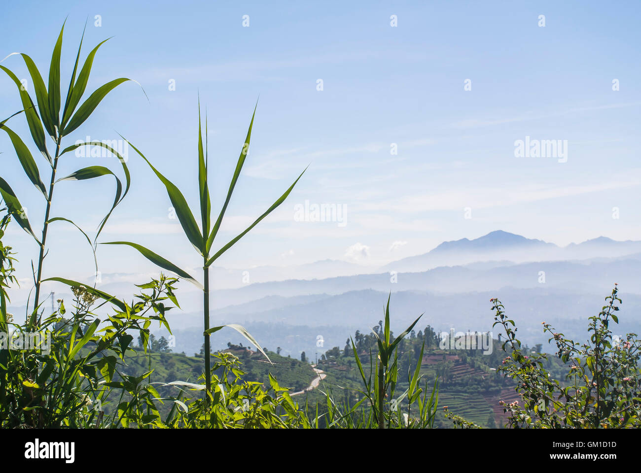 Vue paysage - Hill Country Sri-Lankais Banque D'Images