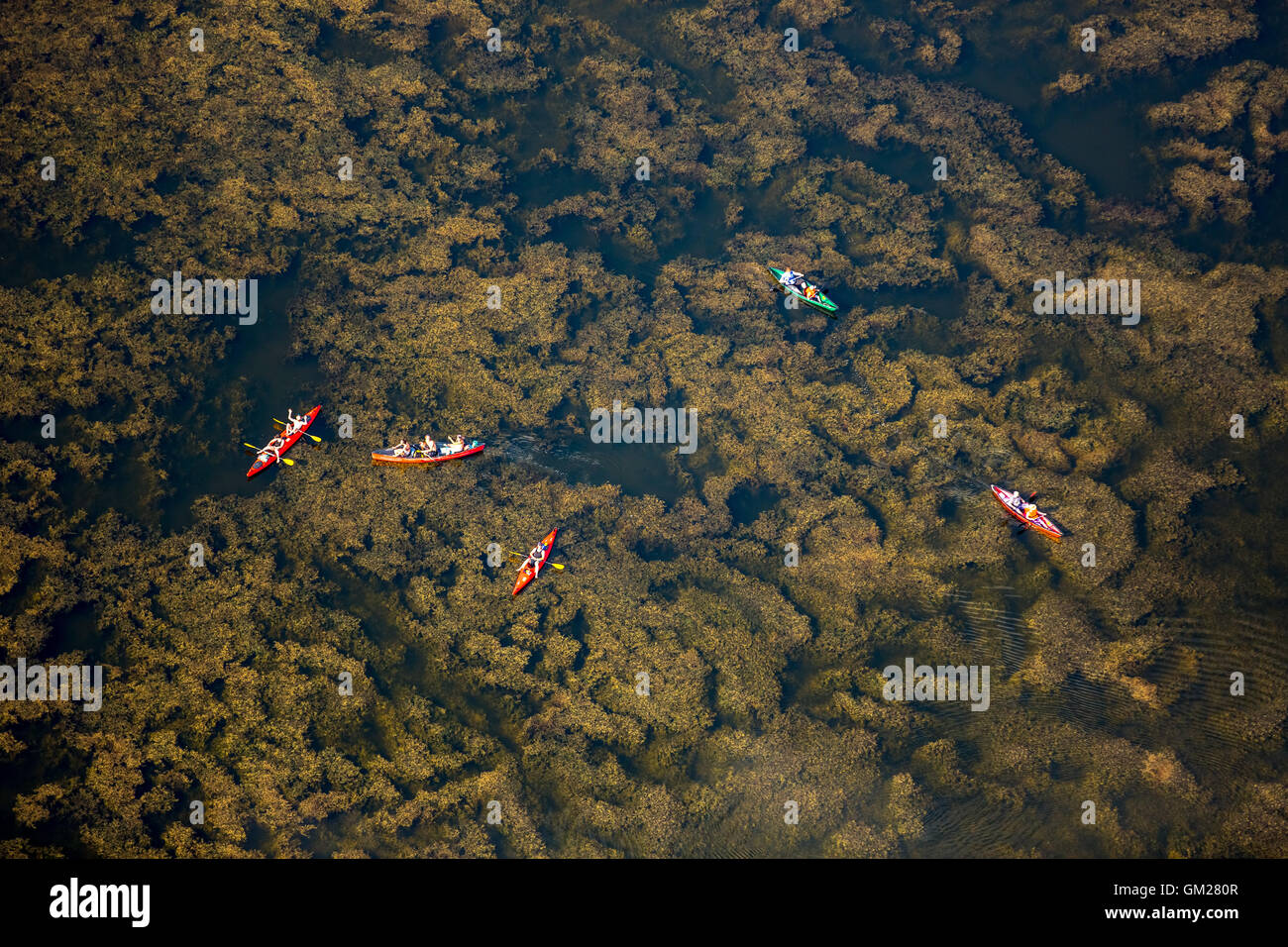 Vue aérienne, 93 Granzow avec la végétation et les pédalos, kayaks à partir de la location de canoë canoë, NeuDrosedow ferme Wustrow, Mecklenburg Banque D'Images