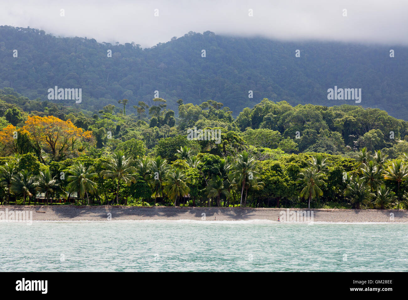 Costa Rica Côte au Liberia sur la côte du Pacifique, Parc national Marino Ballena, Costa Rica, Amérique Centrale Banque D'Images