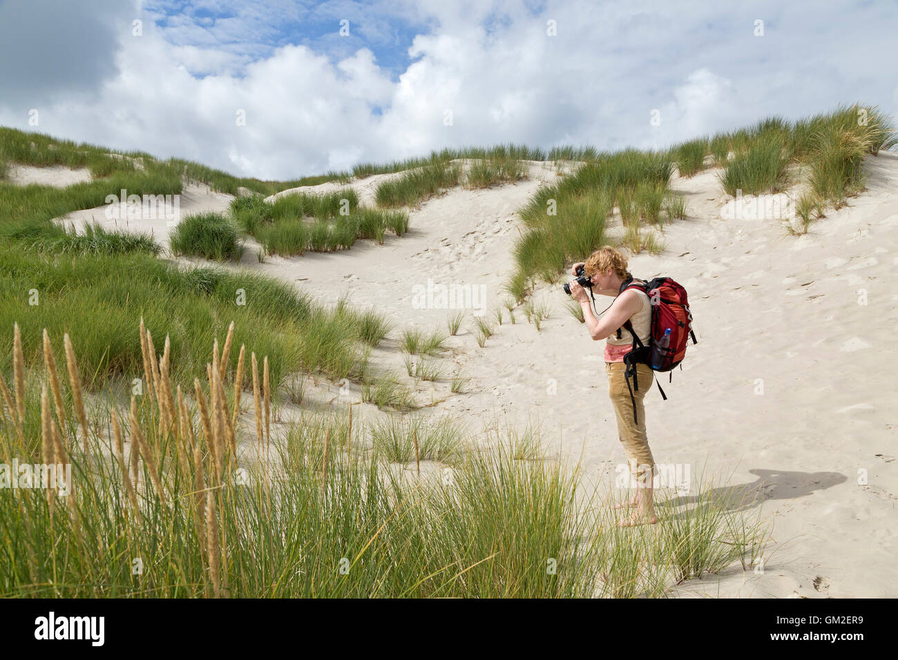 Femme de prendre des photos dans les dunes, Amrum Island, au nord de la Frise, Schleswig-Holstein, Allemagne Banque D'Images