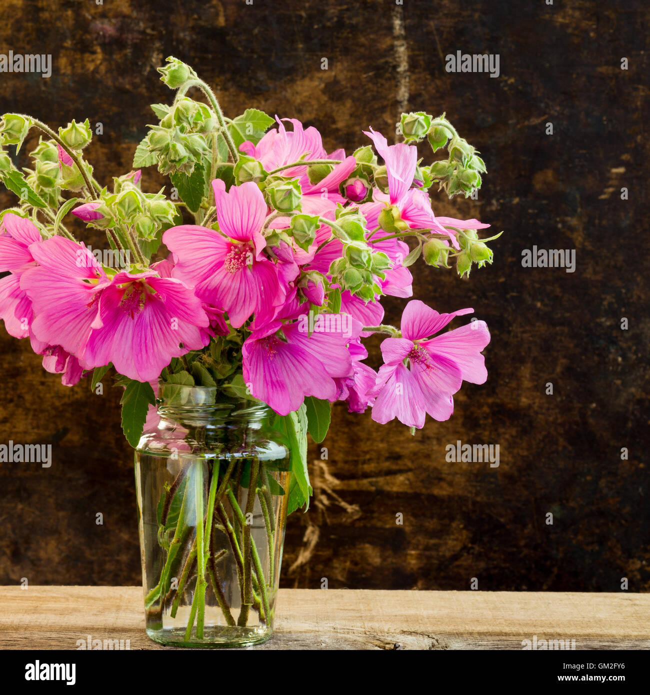 Hibiscus Rose Bouquet De Fleurs Dans Un Vase Sur Fond Sombre