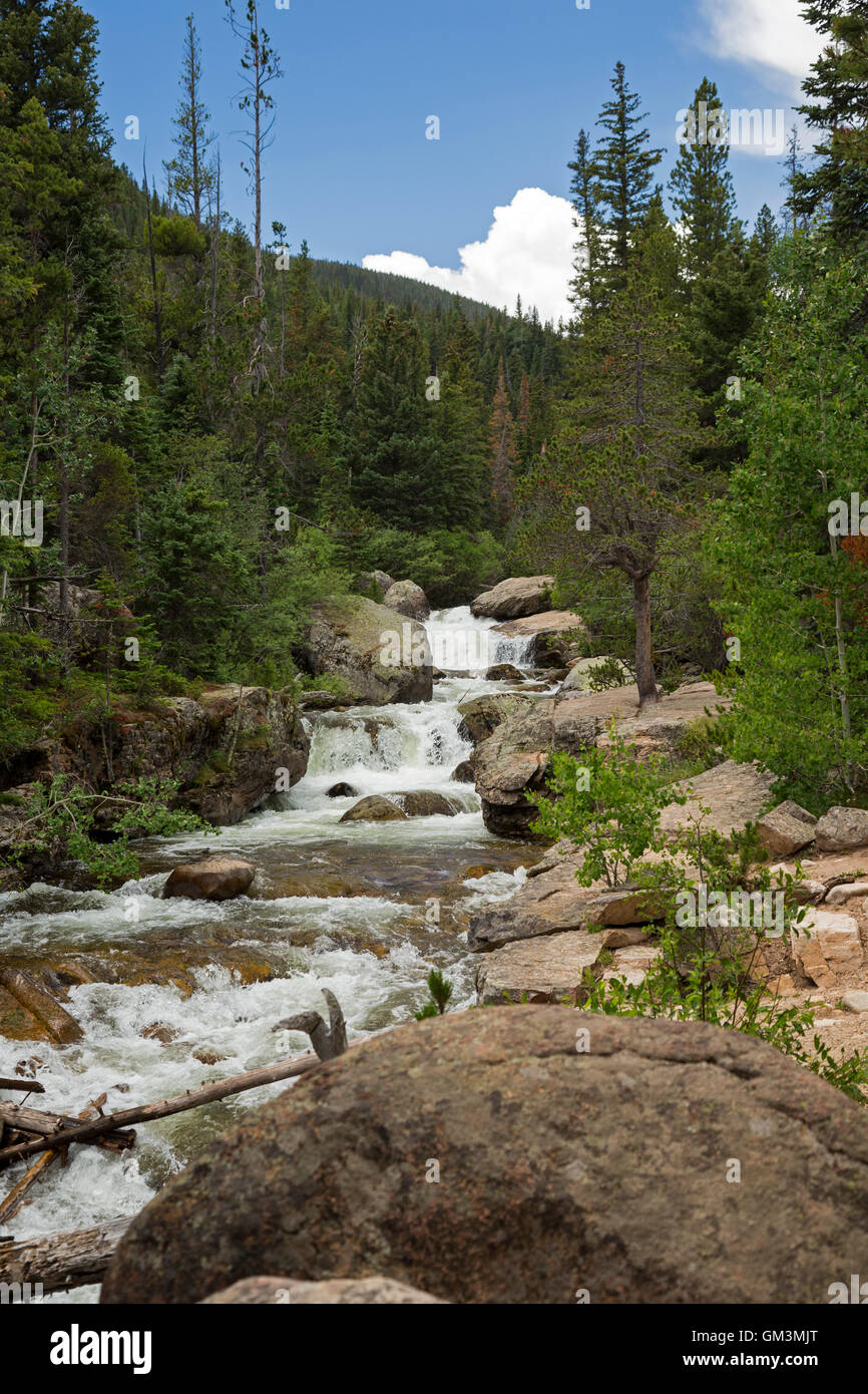 Rocky Mountain National Park, Colorado - East Copeland Falls sur North St. Vrain Creek. Banque D'Images