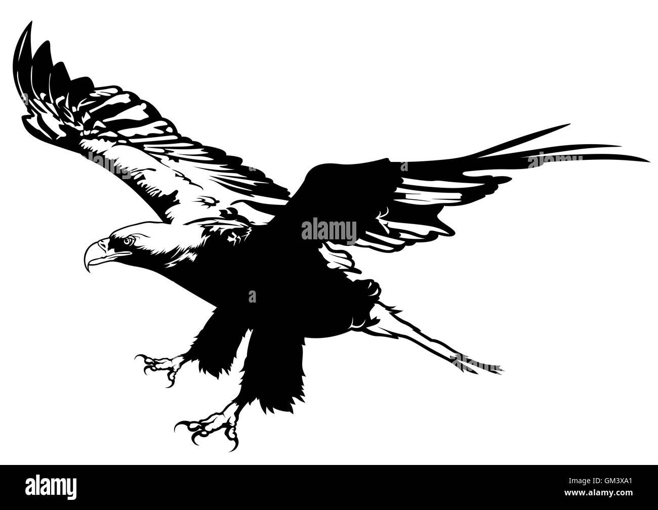 Pygargue à tête blanche volant Illustration de Vecteur