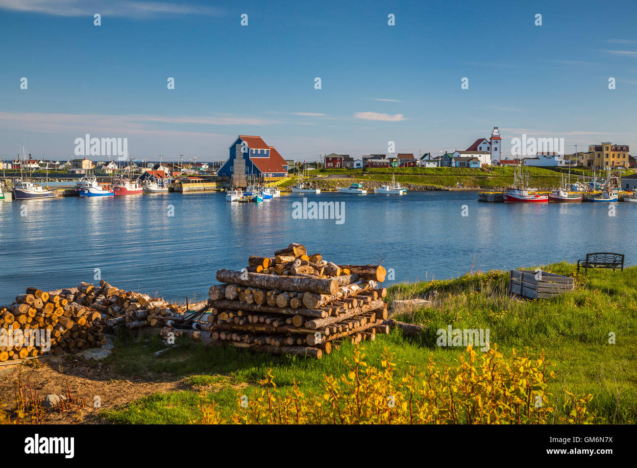 Bateaux de pêche dans le port à Bonavista, Terre-Neuve et Labrador, Canada. Banque D'Images