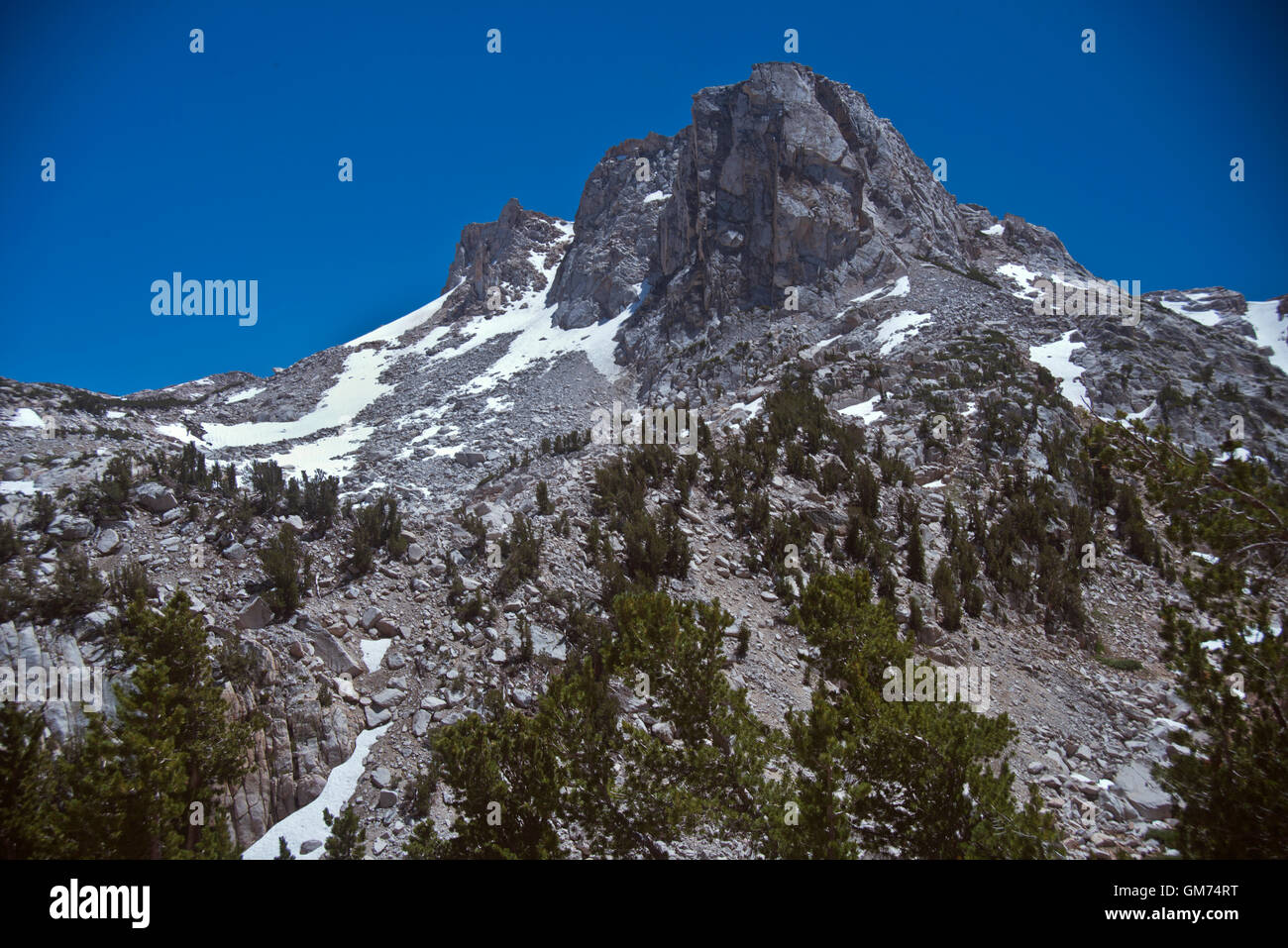 À partir de la montagne sentier en boucle Benson à Hoover & Yosemite Wilderness, Humbolt-Toiyabe National Forest, CA Banque D'Images
