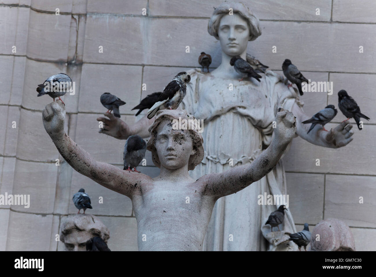 Les oiseaux sur une statue à l'entrée de Central Park de Manhattan, NY Banque D'Images